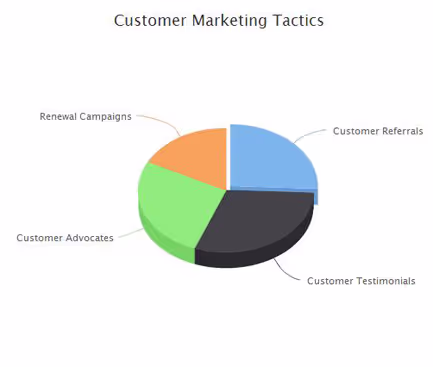 customer marketing tactics benchmark 2014