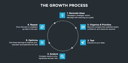 growth process diagram