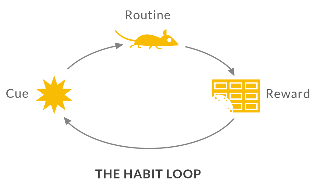 the power of habit charles duhigg the habit loop