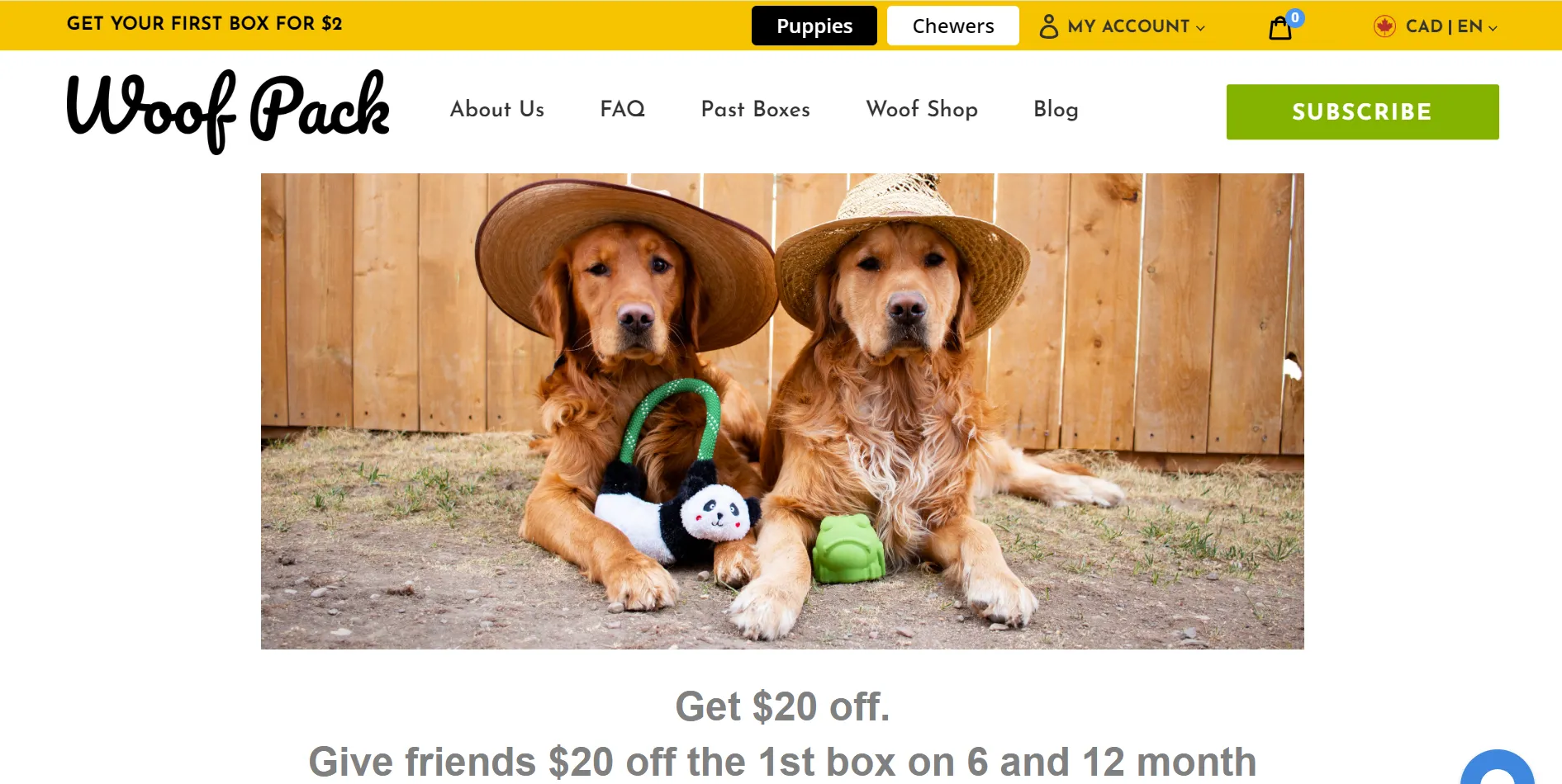 two golden retrievers wearing hats and sitting next to each other with their toys
